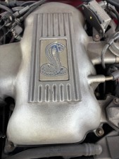 image3 (11)